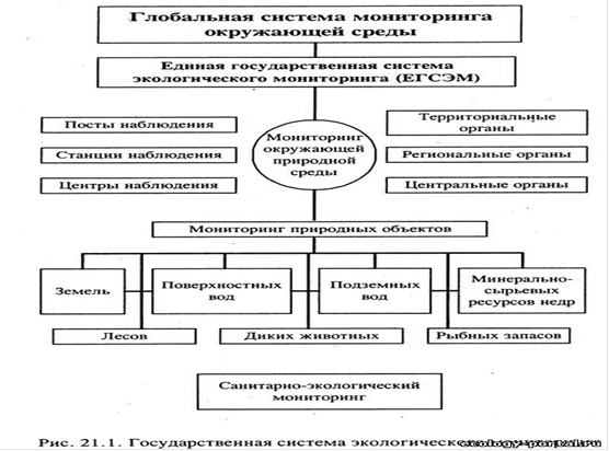 Реферат: Экологический мониторинг